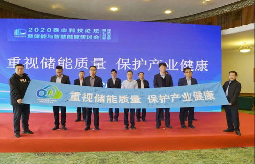 2020泰山科技論壇暨儲能與智慧能源研討會(huì)在濟(jì)南成功舉辦，推動(dòng)能源科學(xué)技術(shù)研究發(fā)展